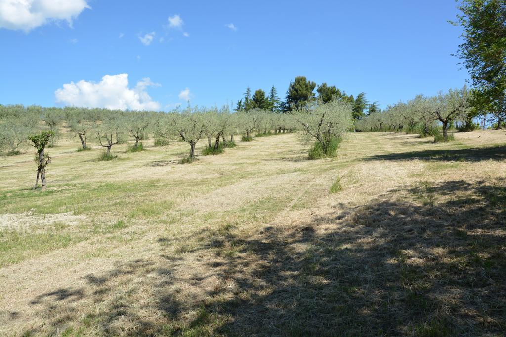 Casale Fusco Villa Spoleto Exterior photo